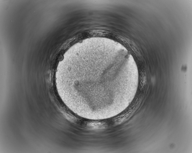 X0000098180759200805221537