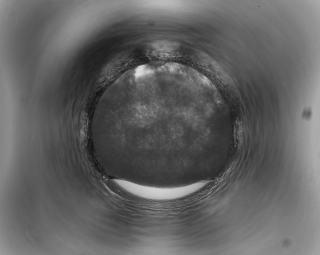 X0000098180760200805221537