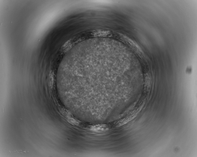 X0000098180761200805221537