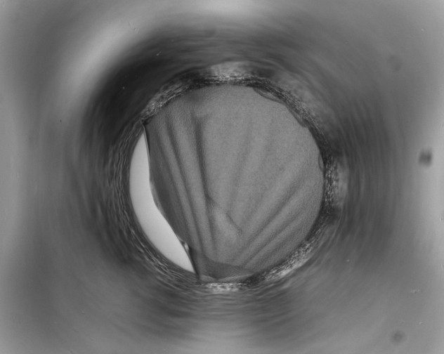 X0000098180762200805221537