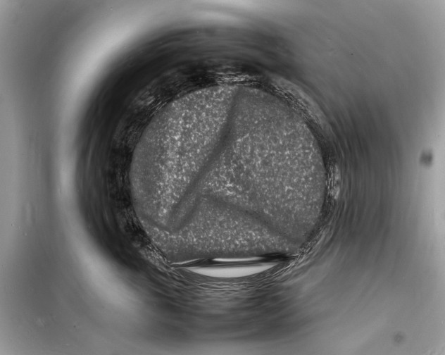 X0000098180763200805221537