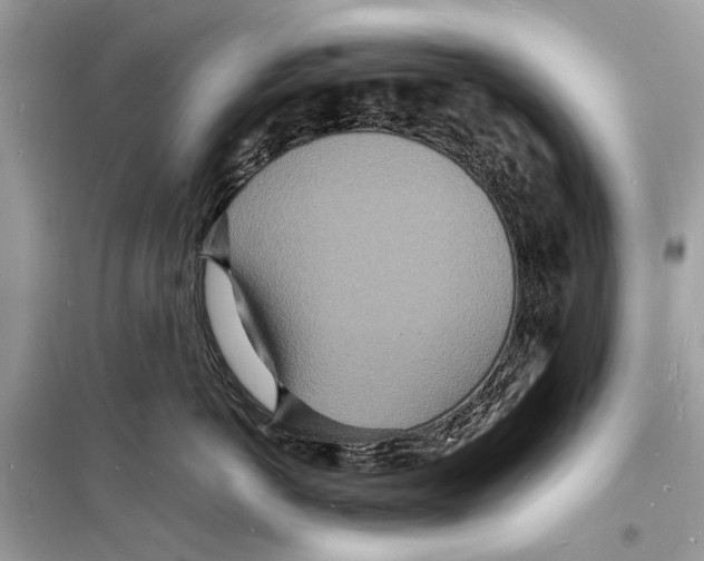 X0000098180766200805221537