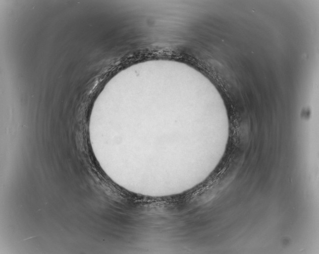 X0000098180769200805221536