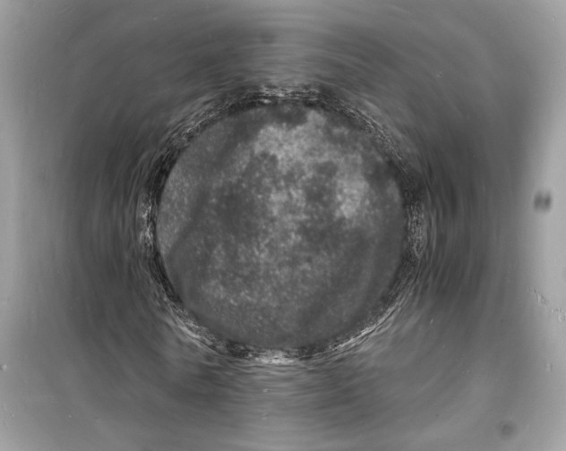 X0000098180770200805221536