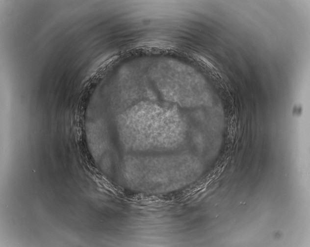 X0000098180774200805221536