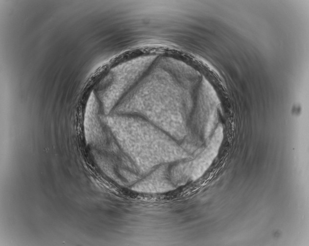 X0000098180775200805221536