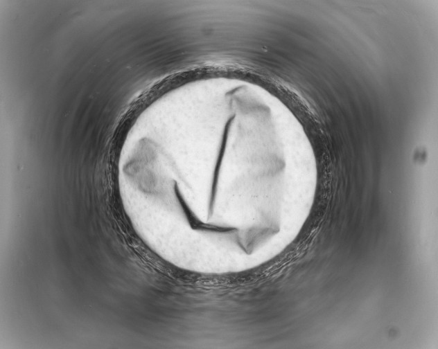 X0000098180776200805221536