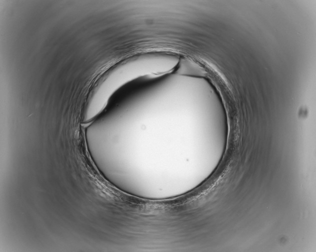 X0000098180777200805221536