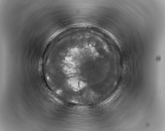 X0000098180778200805221536