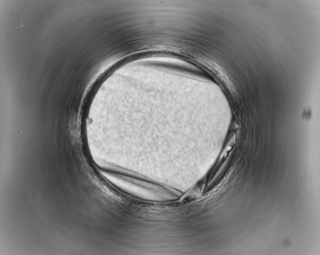 X0000098180780200805221536