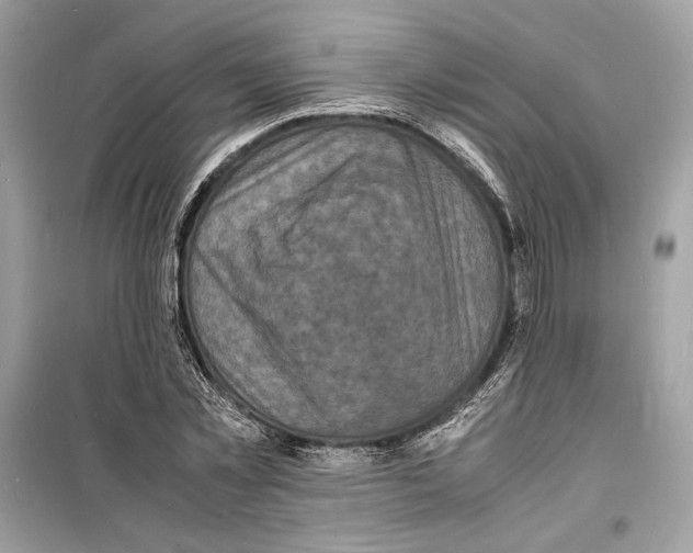 X0000098180781200805221536