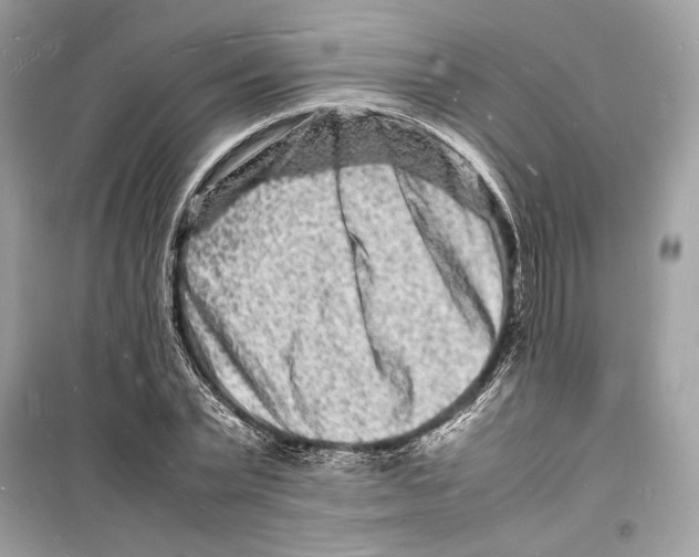 X0000098180783200805221536