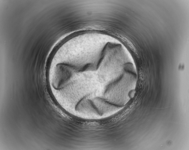 X0000098180784200805221536