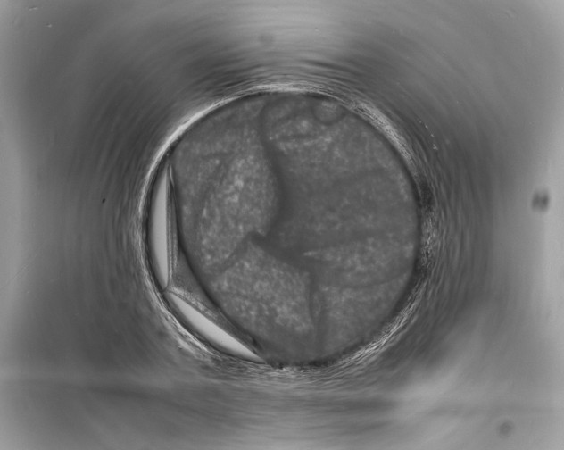 X0000098180787200805221536