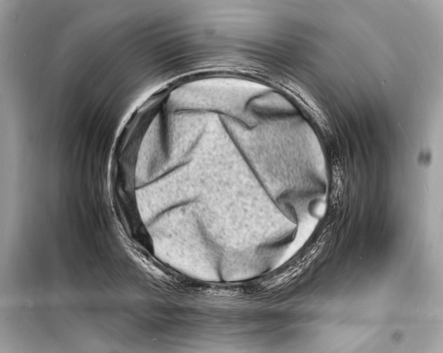 X0000098180788200805221536