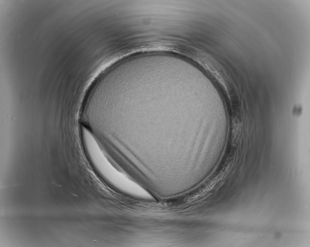 X0000098180789200805221536