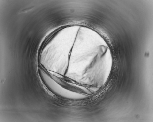 X0000098180792200805221536