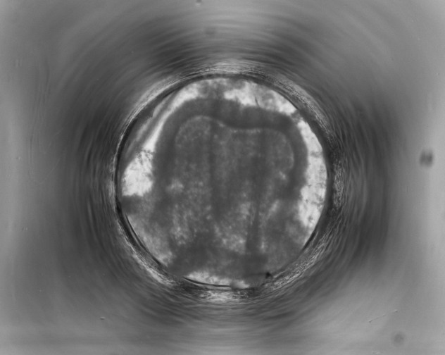 X0000098180794200805221536