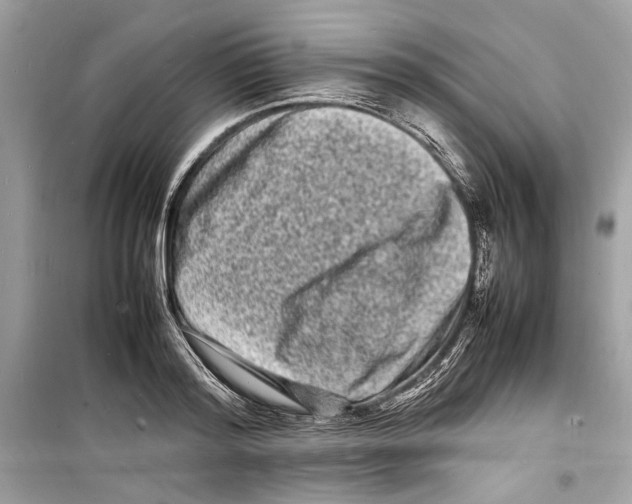 X0000098180796200805221536