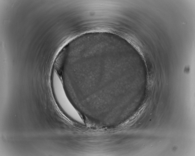 X0000098180797200805221536