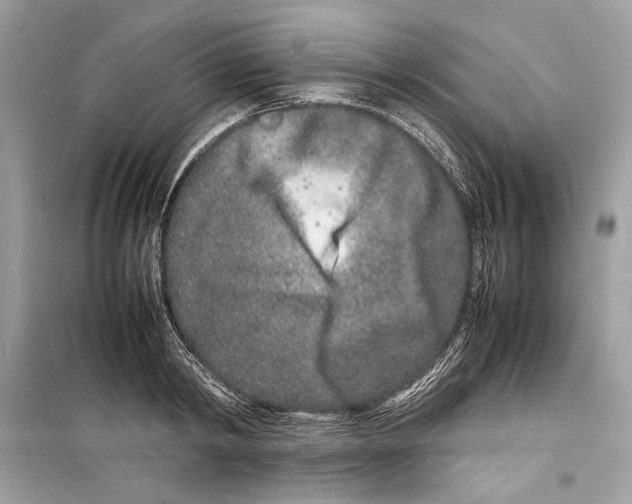 X0000098180798200805221536