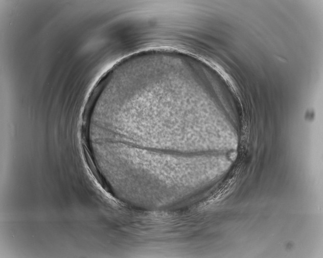 X0000098180799200805221536