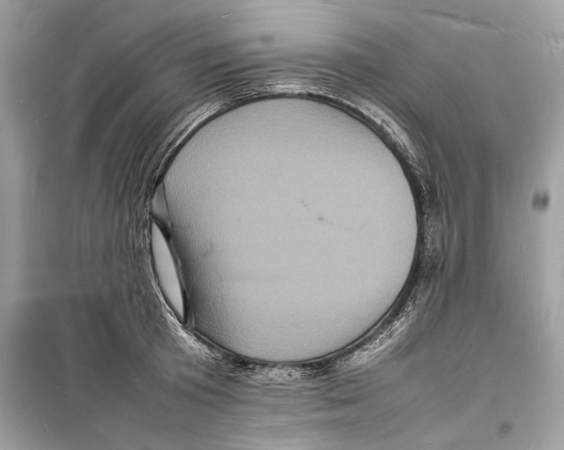 X0000098180801200805221536