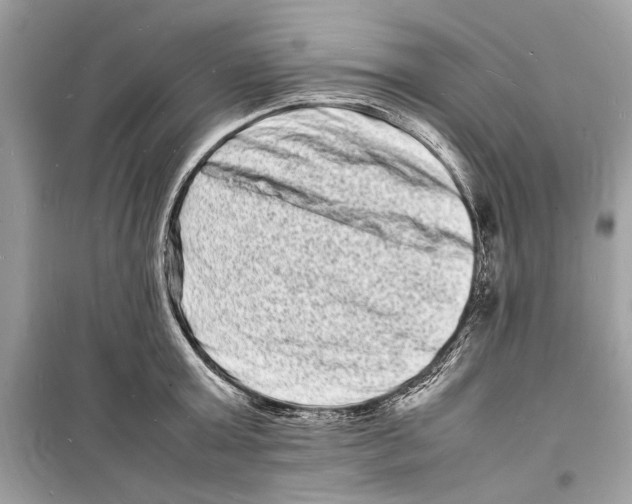 X0000098180803200805221536