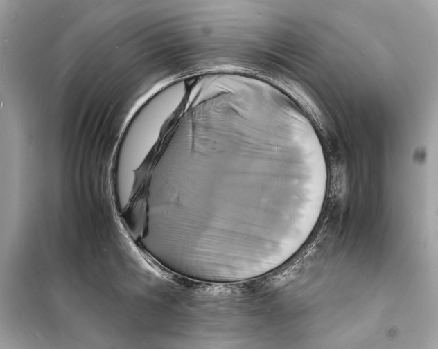 X0000098180806200805221536