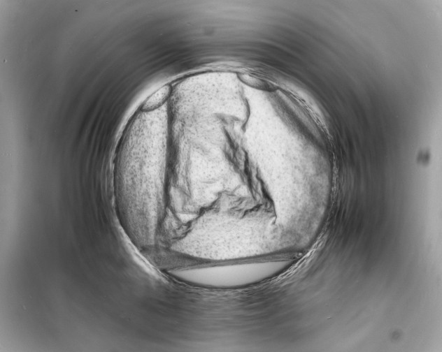 X0000098180808200805221536