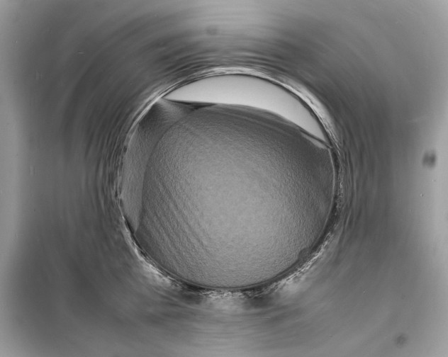 X0000098180809200805221536