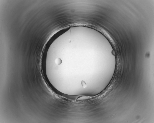 X0000098180810200805221536