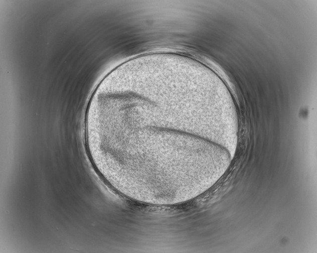 X0000098180811200805221536