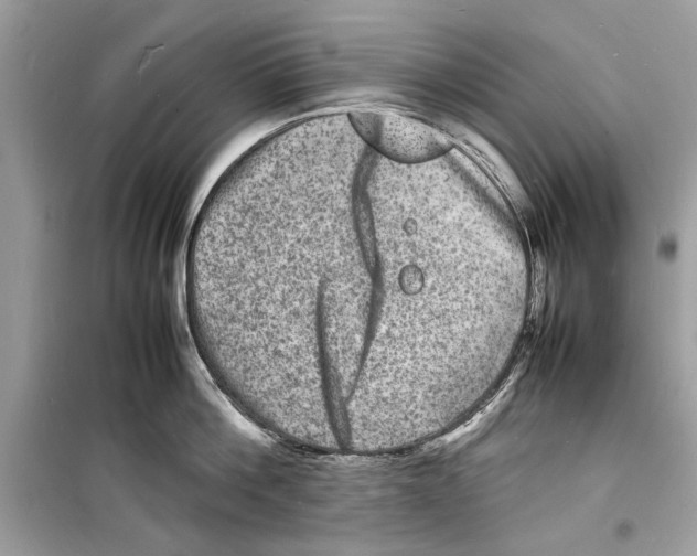 X0000098180812200805221536