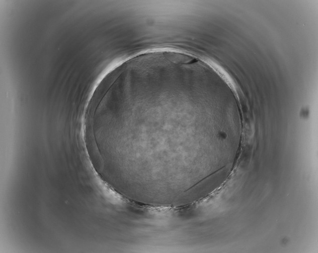 X0000098180813200805221536