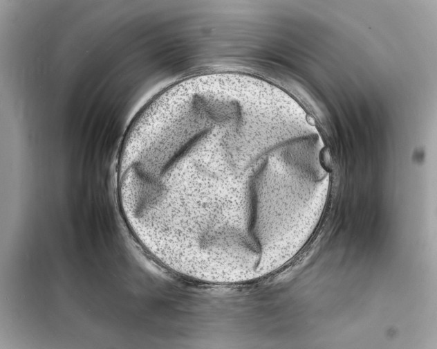 X0000098180814200805221536