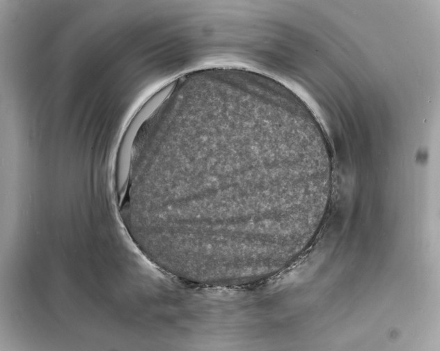 X0000098180815200805221536