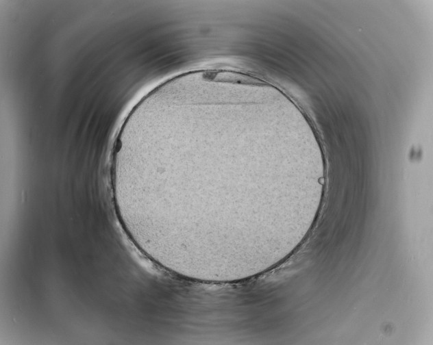 X0000098180816200805221536