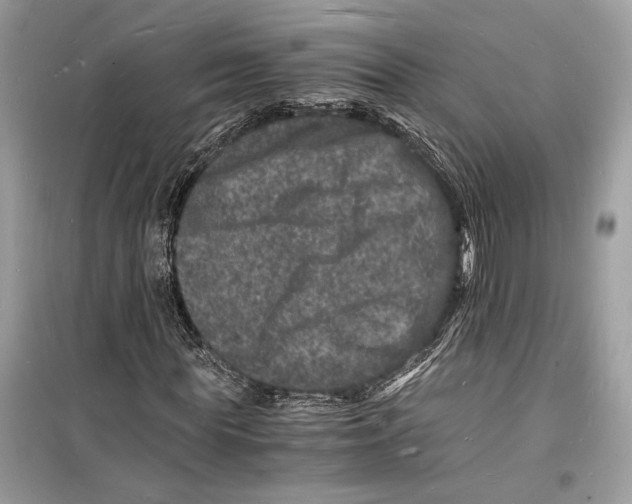 X0000098180819200805221535