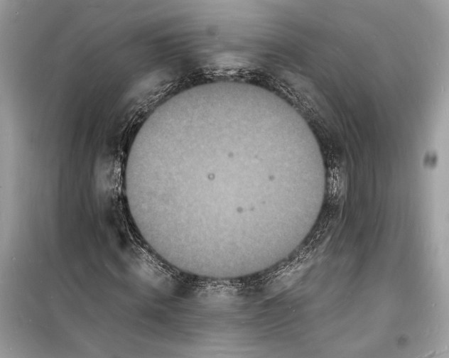 X0000098180820200805221535