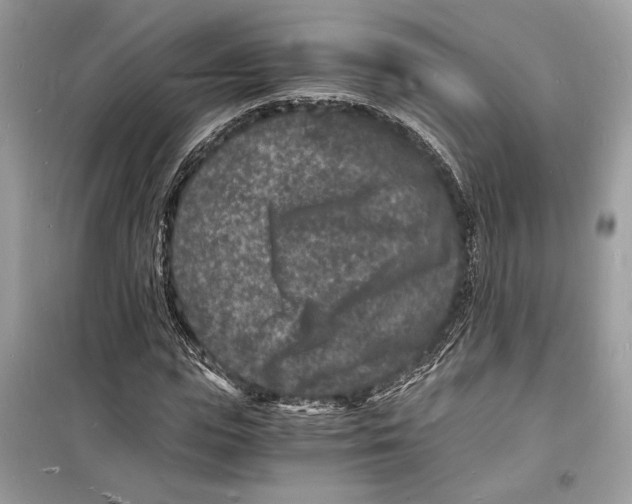 X0000098180823200805221535