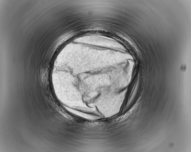 X0000098180826200805221535