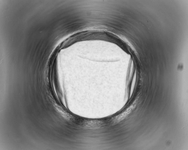 X0000098180830200805221535