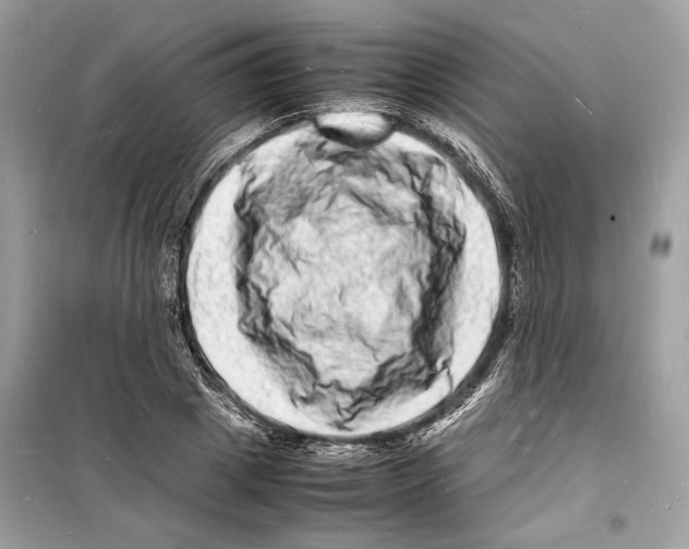 X0000098180833200805221535