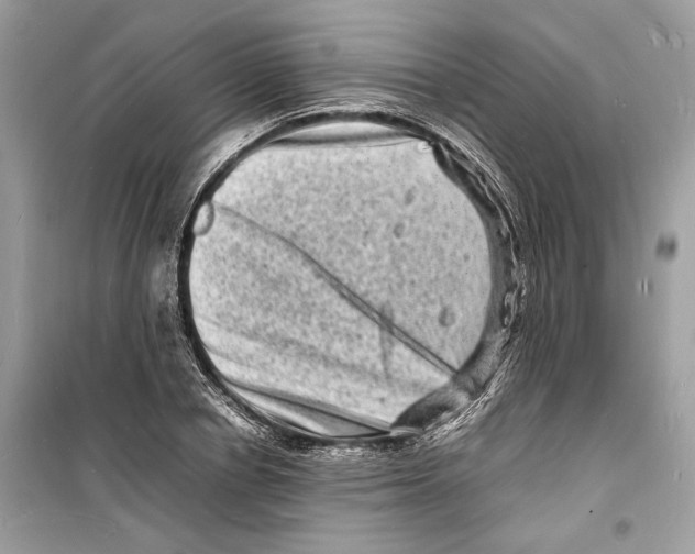 X0000098180834200805221535