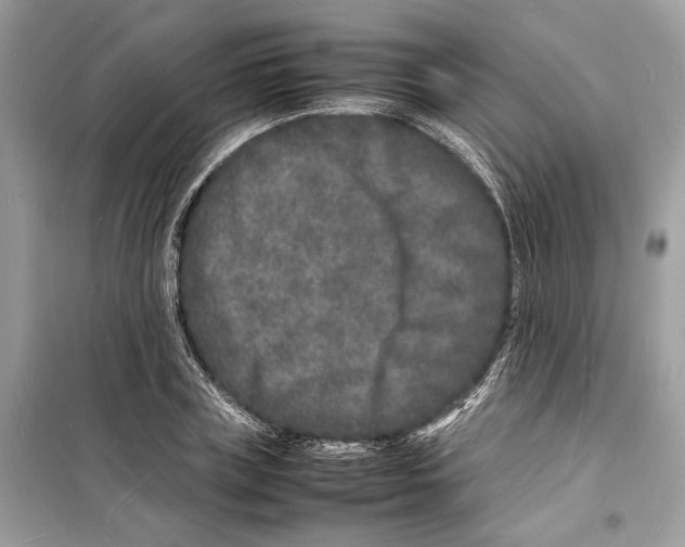 X0000098180835200805221535