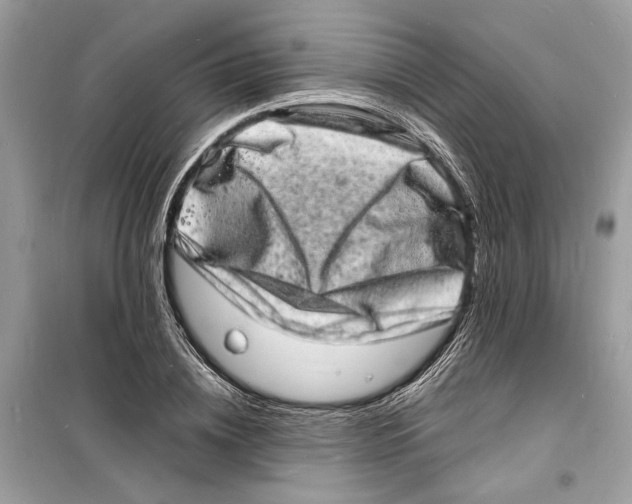 X0000098180836200805221535