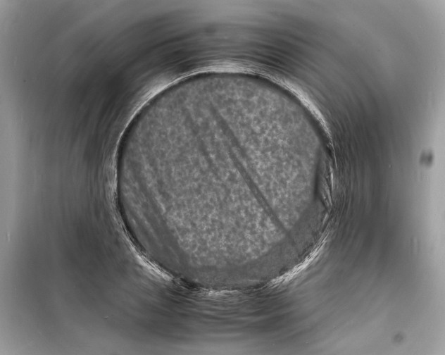 X0000098180837200805221535