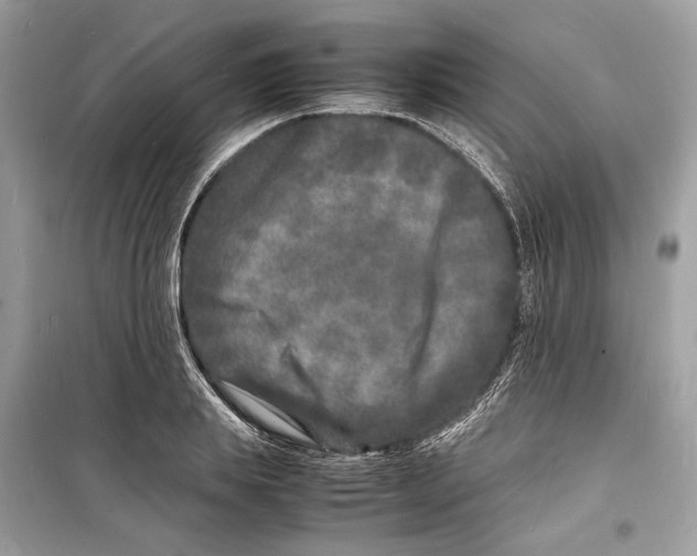 X0000098180839200805221535