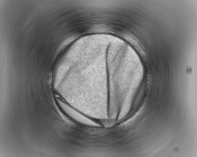 X0000098180841200805221536